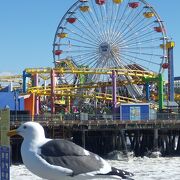 サンタモニカピア 　（Santa Monica Pier）