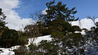 本間美術館庭園(鶴舞園)