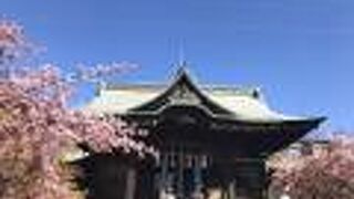 桜神宮