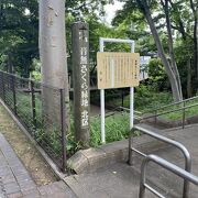 小さい吊り橋でグラグラ揺れながら歩く体験