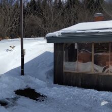 1月は雪に埋もれてこれなかった場所の一つ、登り窯