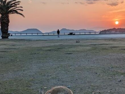 休暇村 大久野島 写真