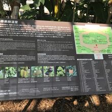 熱帯果樹温室の説明版