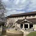 平泉中尊寺展を拝見しました。裏側の庭園も趣あり