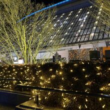 イルミネーションが綺麗でした。