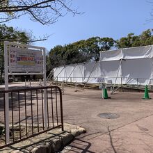 パンダのタンタンの病気が良くなりますように！！