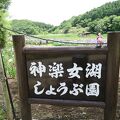 別府の神楽女湖の花菖蒲は見事(^^)