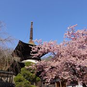 見どころの多い素晴らしいお寺でした