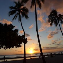 椰子の木ある海岸と水平線に沈んでゆく夕日