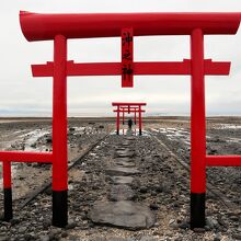 大魚神社の海中鳥居