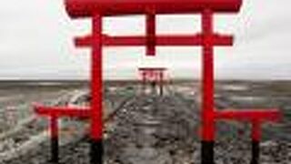 大魚神社の海中鳥居