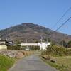 のどかな雰囲気です