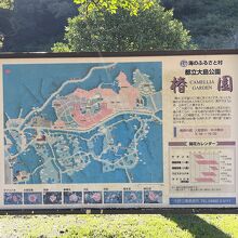 東京都立大島公園椿園・椿資料館