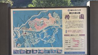 東京都立大島公園椿園・椿資料館