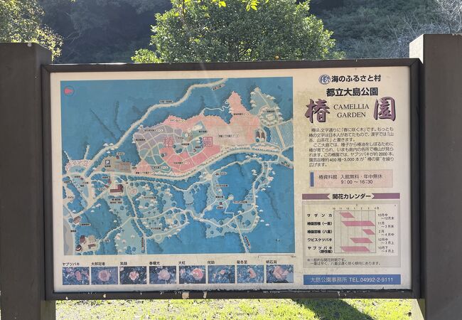 東京都立大島公園椿園・椿資料館