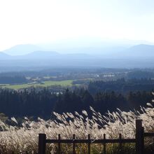ずっと見ていたい、漢拏山とススキ