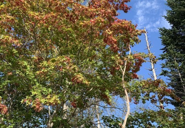 雄大な自然の紅葉