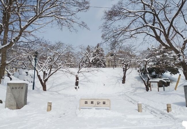 函館公園