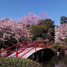 松月院