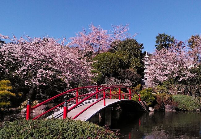 松月院