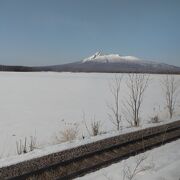 車窓からも景色を楽しめる☆