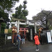 上野山の守護神