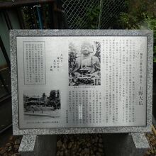 上野大仏由緒