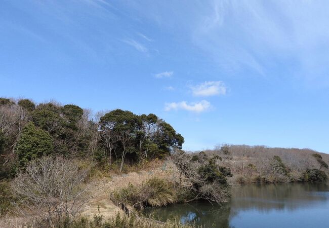 茨城県水郷県民の森