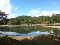 毛越寺浄土庭園