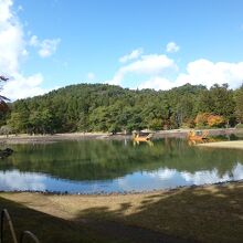 毛越寺浄土庭園