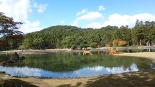 毛越寺浄土庭園