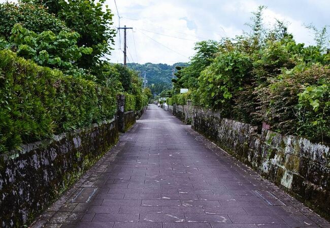 美しい石垣や生垣が残る武家屋敷通り