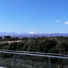 屋上の展望デッキからは富士山に昭和記念公園が見えます