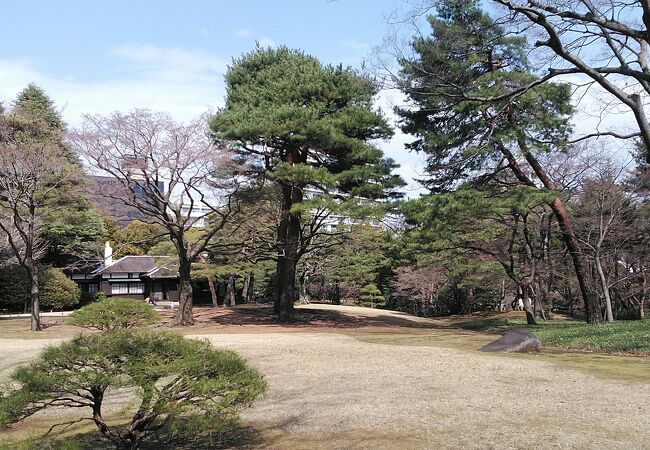 都立殿ヶ谷戸庭園