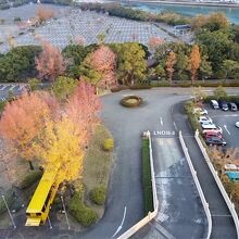 紅葉が綺麗 ハウステンボス 側じゃないけど