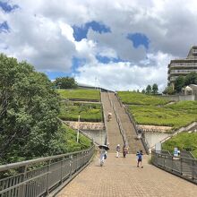 横浜国際プール