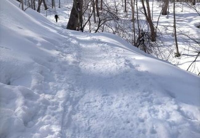 札幌藻岩山