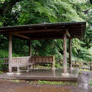 都会のど真ん中にある公園