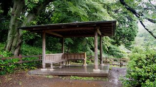 都会のど真ん中にある公園