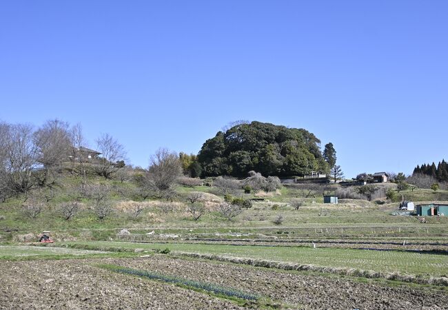 見晴らしの良い天皇陵