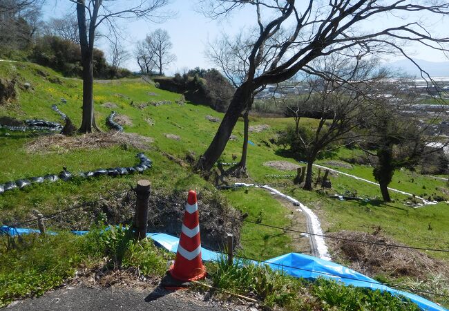 日野江城跡