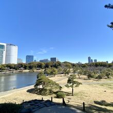 富士見山からの眺め