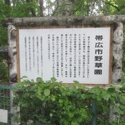 野草が自然のままの姿で残されている