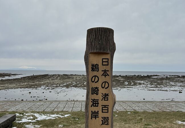 鵜ノ崎海岸