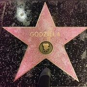 ハリウッド ウォーク オブ フェイム 　（Hollywood Walk of Fame）