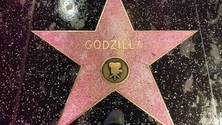 ハリウッド ウォーク オブ フェイム 　（Hollywood Walk of Fame）