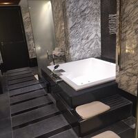 グランドエクシブ軽井沢 サンクチュアリ・ヴィラ ムセオ 写真