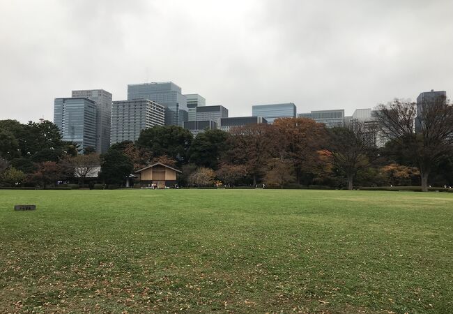 江戸城（東京都千代田区）：広大な公園