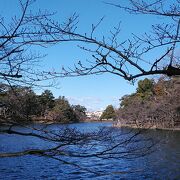 氷川神社に隣接する、さくら名所100選の大宮公園