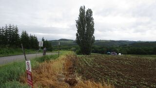 夏の訪問がいい